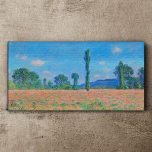 Tablou canvas Peisaj de luncă Monet