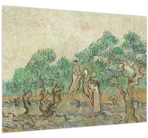 Tablou - Vincent van Gogh, The Olive Orchard, reproducere (70x50 cm)