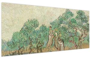 Tablou - Vincent van Gogh, The Olive Orchard, reproducere (120x50 cm)