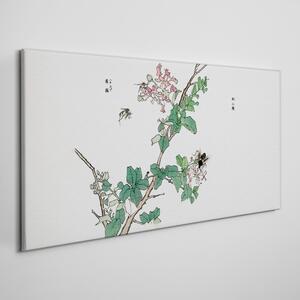 Tablou pe panza Insecta cu frunze asiatice