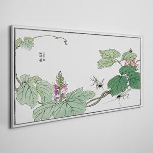 Tablou pe panza Insecta cu frunze asiatice