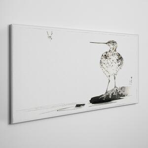 Tablou pe panza Desen pasăre animală