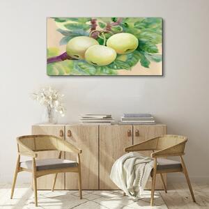 Tablou canvas fructe frunze de ramură de măr