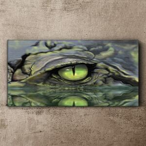 Tablou canvas Apa pentru ochi de crocodil animal