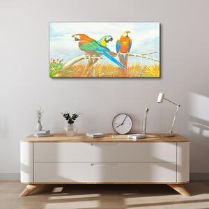 Tablou canvas Animal Păsări Papagal Nori