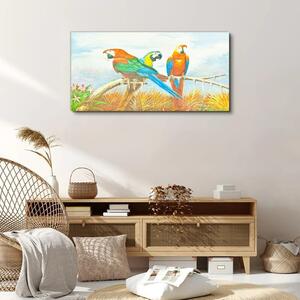 Tablou canvas Animal Păsări Papagal Nori