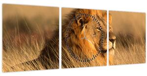 Tablou - Parcul Național Etosha (cu ceas) (90x30 cm)
