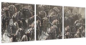 Tablou - Turmă de antilope sălbatice (cu ceas) (90x30 cm)