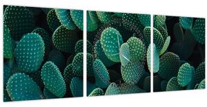 Tablou - Opuntia (cu ceas) (90x30 cm)