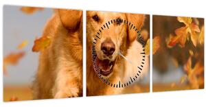 Tablou - Golden Retriever (cu ceas) (90x30 cm)