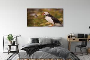 Tablouri canvas Papagal