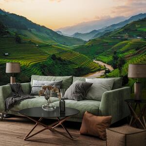 Fototapet - Câmpul de orez Mu Cang Chai (147x102 cm)