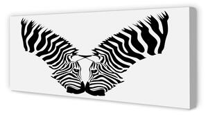 Tablouri canvas zebră oglindă