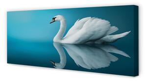 Tablouri canvas Swan în apă
