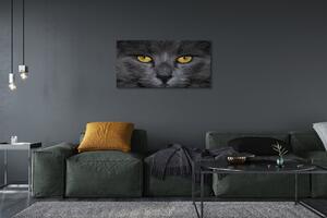 Tablouri canvas Pisica neagra