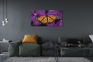 Tablouri canvas flori colorate fluture