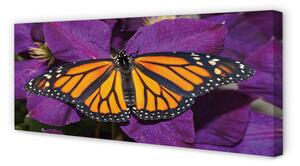 Tablouri canvas flori colorate fluture