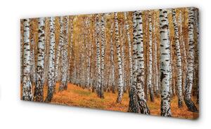 Tablouri canvas copaci de toamnă