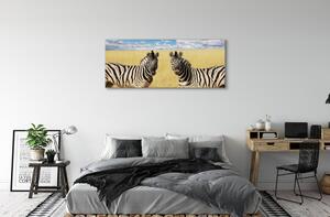Tablouri canvas caseta de zebră