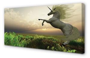Tablouri canvas Unicorn Golf