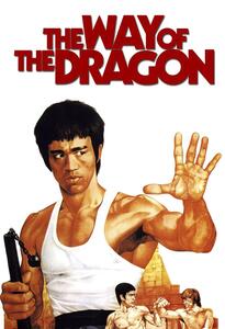 Ilustrație The Way of the Dragon (1972)