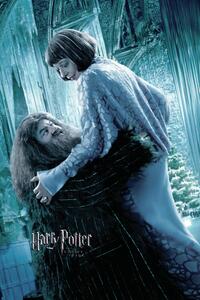 Poster de artă Harry Potter and the Goblet of Fire - Hagrid