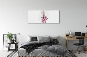 Tablouri canvas pantofi de balet roz