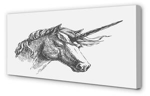 Tablouri canvas desen unicorn
