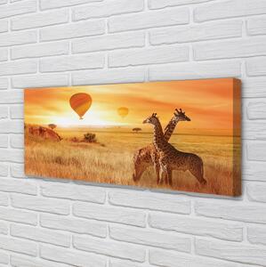 Tablouri canvas Baloane cer girafă