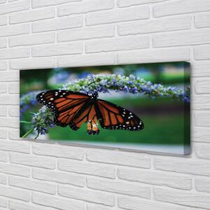 Tablouri canvas Fluture pe o floare