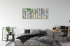 Tablouri canvas frunze de mesteacan