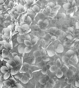 Fototapet Art flore de măr alb-negru