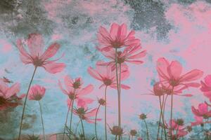Fototapet Art flori roz