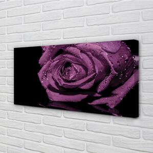 Tablouri canvas trandafir violet