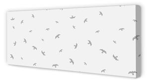 Tablouri canvas păsări gri