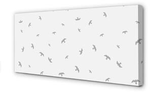 Tablouri canvas păsări gri