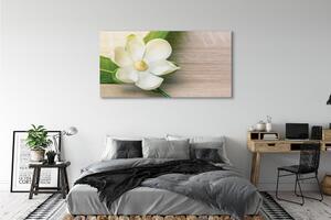 Tablouri canvas magnolie alb