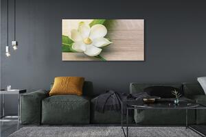 Tablouri canvas magnolie alb