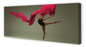 Tablouri canvas Material roz Ballerina