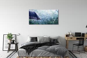 Tablouri canvas picături de ploaie Umbrella