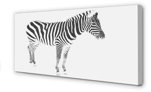 Tablouri canvas zebră pictat