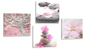 Set tablouri Feng Shui în design delicat