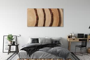Tablouri canvas felii de cereale din lemn