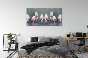 Tablouri canvas ramură de magnolie