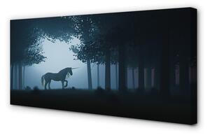 Tablouri canvas Las noapte unicorn