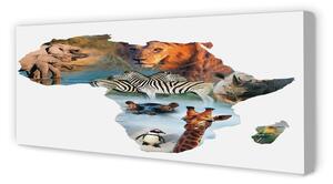 Tablouri canvas Zebra girafa tigru