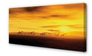 Tablouri canvas Copac cer nori girafă