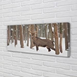 Tablouri canvas pădure de iarnă Deer