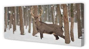 Tablouri canvas pădure de iarnă Deer