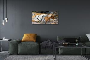 Tablouri canvas situată tigru